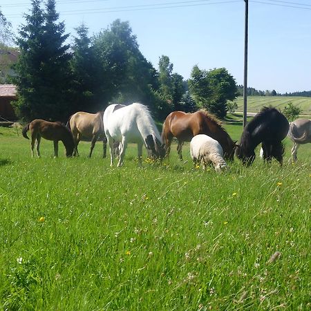Landgasthof Zum Schwanen Hornberg Bagian luar foto