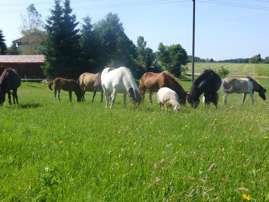 Landgasthof Zum Schwanen Hornberg Bagian luar foto