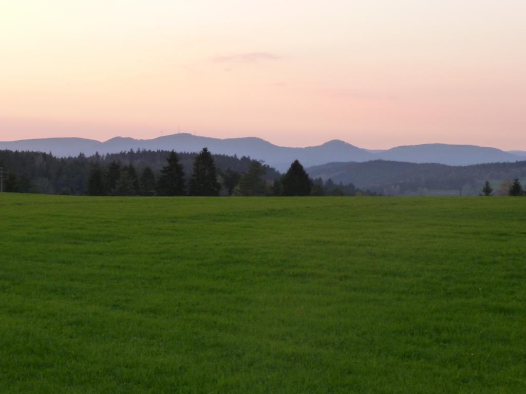 Landgasthof Zum Schwanen Hornberg Bagian luar foto
